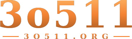 3o511 logo
